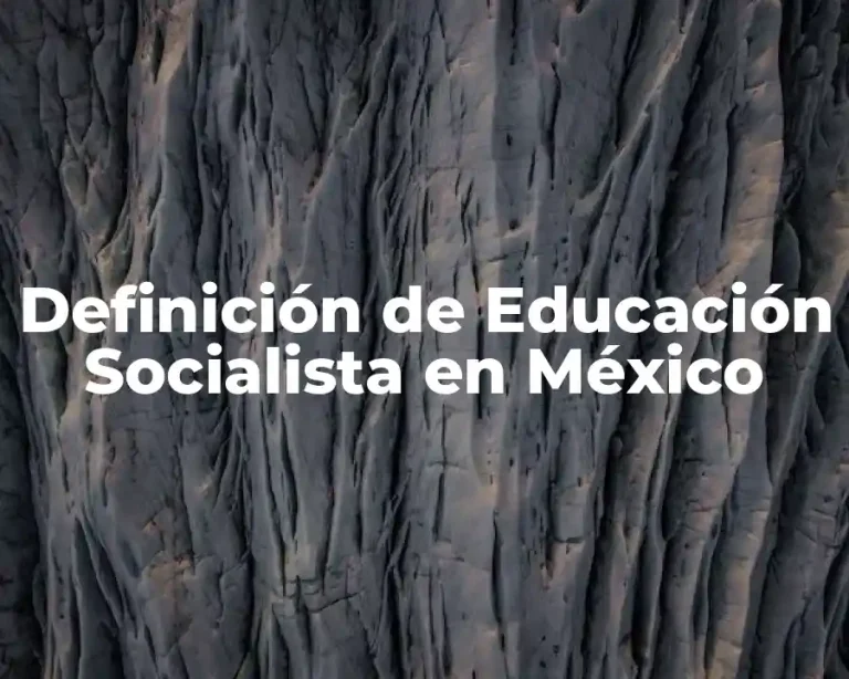 Definición de Educación Socialista en México