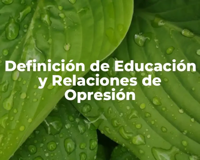 Definición de Educación y Relaciones de Opresión