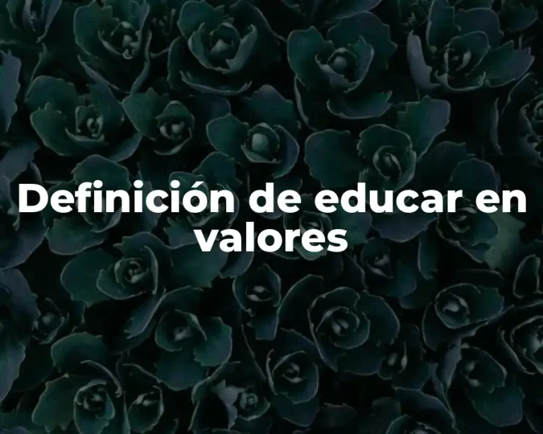 Definición de educar en valores