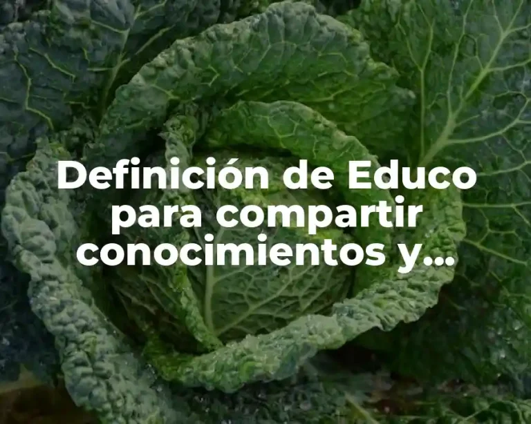 Definición de Educo para compartir conocimientos y valores