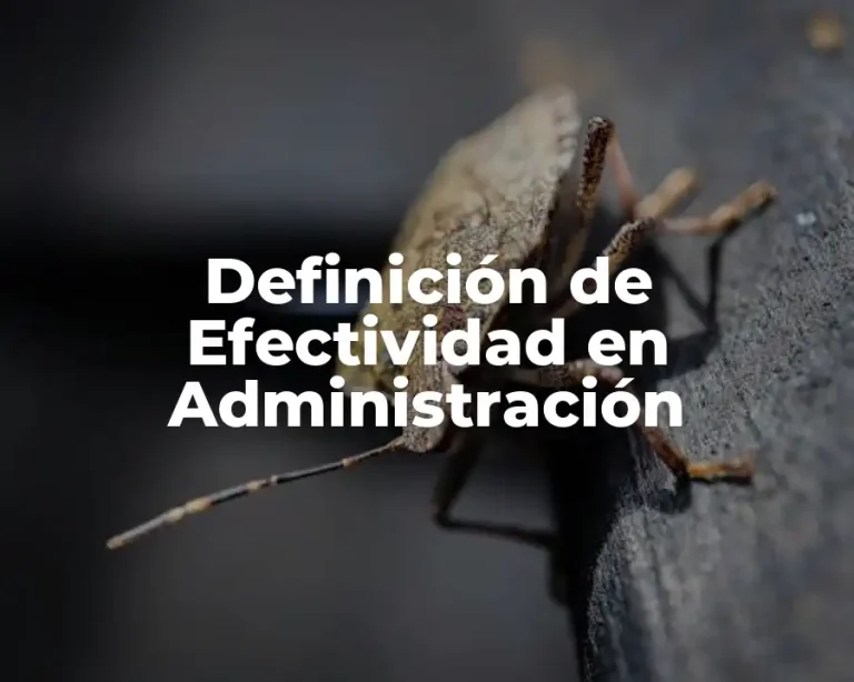 Definición de Efectividad en Administración