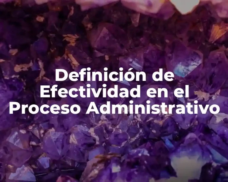 Definición de Efectividad en el Proceso Administrativo