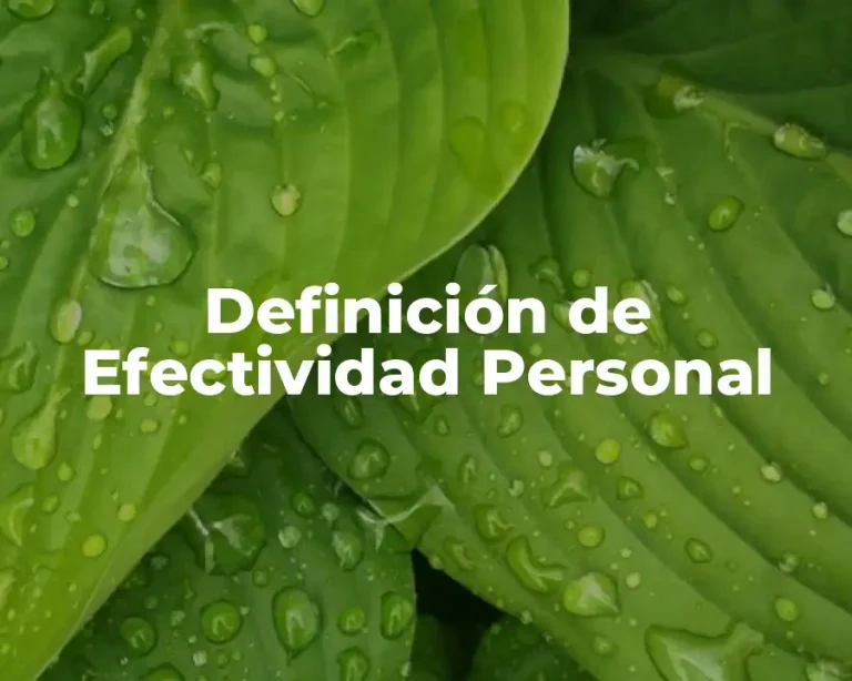 Definición de Efectividad Personal