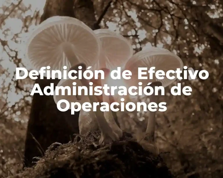 Definición de Efectivo Administración de Operaciones