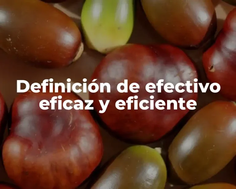 Definición de efectivo eficaz y eficiente