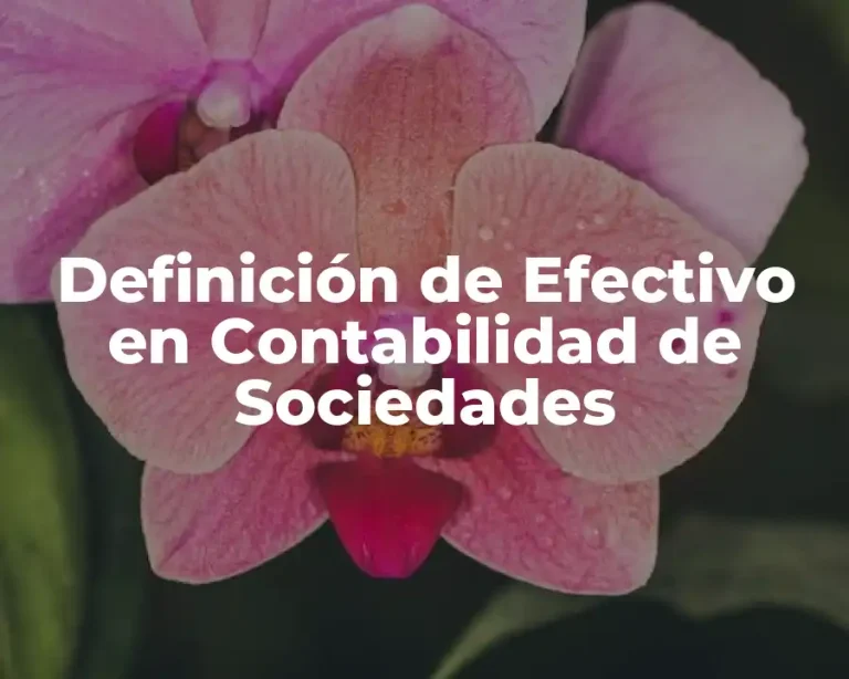 Definición de Efectivo en Contabilidad de Sociedades