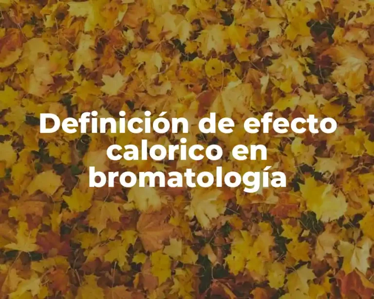 Definición de efecto calorico en bromatología