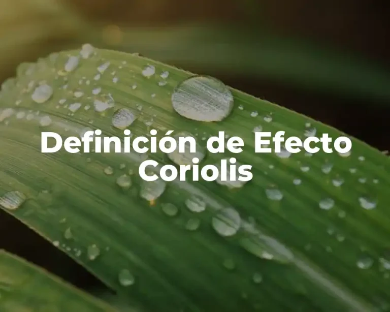 Definición de Efecto Coriolis