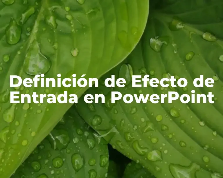 Definición de Efecto de Entrada en PowerPoint