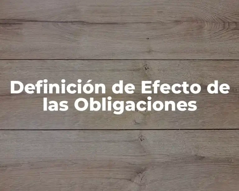 Definición de Efecto de las Obligaciones