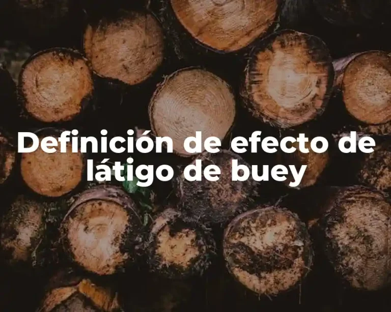 Definición de efecto de látigo de buey