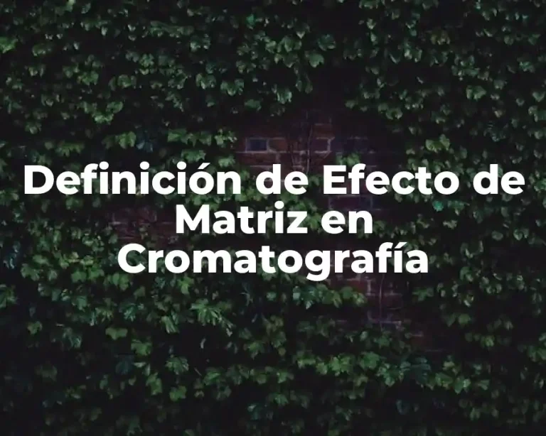 Definición de Efecto de Matriz en Cromatografía