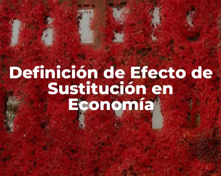 Definición de Efecto de Sustitución en Economía