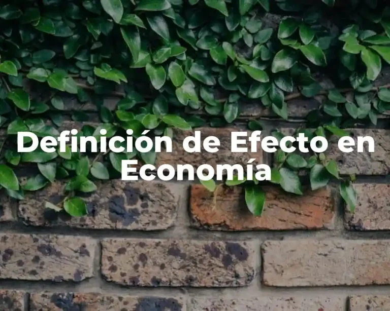 Definición de Efecto en Economía