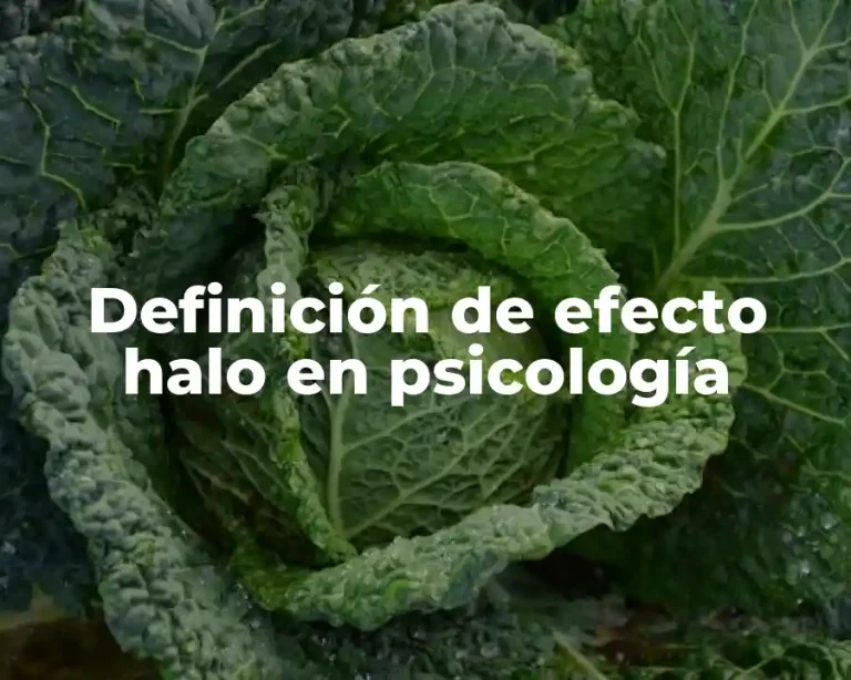 Definición de efecto halo en psicología