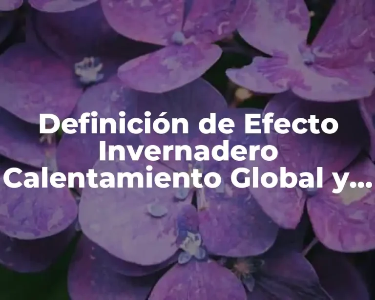 Definición de Efecto Invernadero Calentamiento Global y Cambio Climático