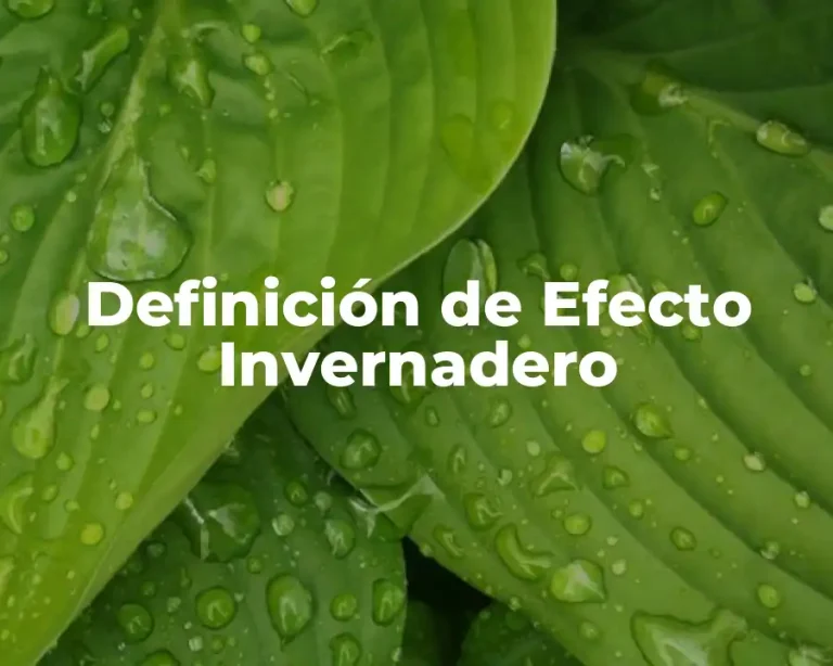 Definición de Efecto Invernadero