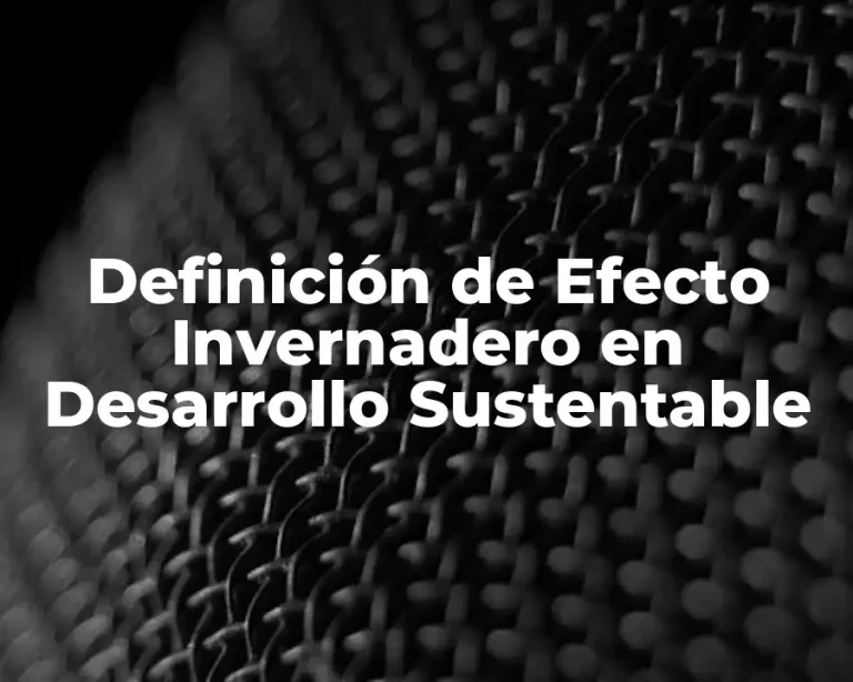 Definición de Efecto Invernadero en Desarrollo Sustentable