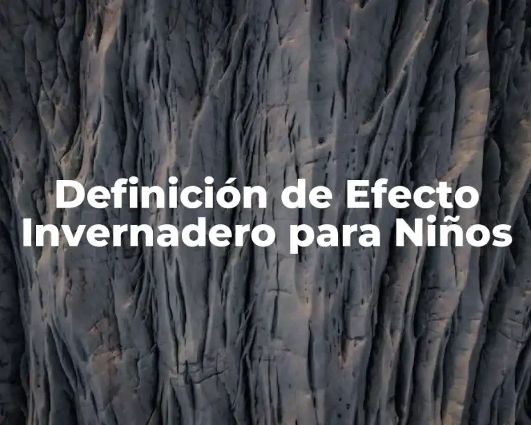 Definición de Efecto Invernadero para Niños