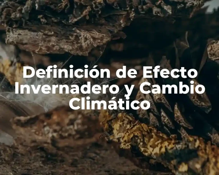 Definición de Efecto Invernadero y Cambio Climático