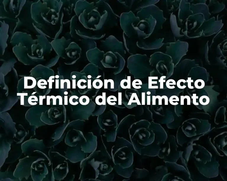 Definición de Efecto Térmico del Alimento