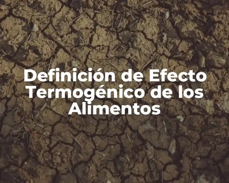 Definición de Efecto Termogénico de los Alimentos