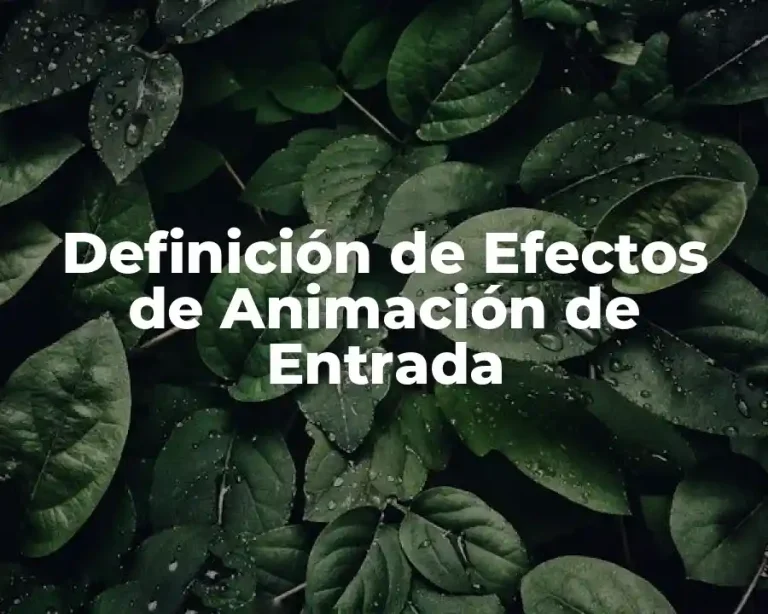 Definición de Efectos de Animación de Entrada