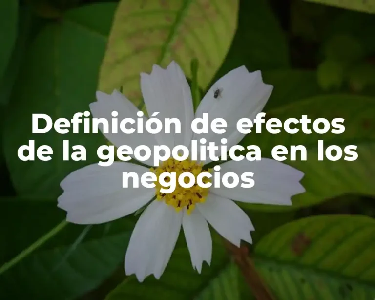 Definición de efectos de la geopolitica en los negocios