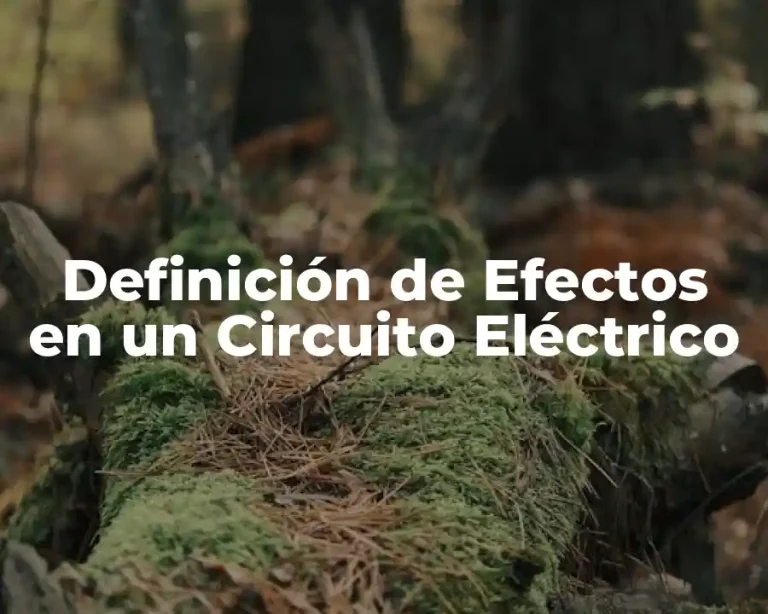 Definición de Efectos en un Circuito Eléctrico