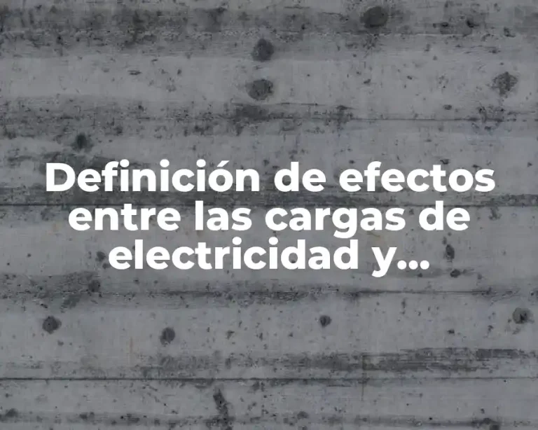 Definición de efectos entre las cargas de electricidad y magnetismos