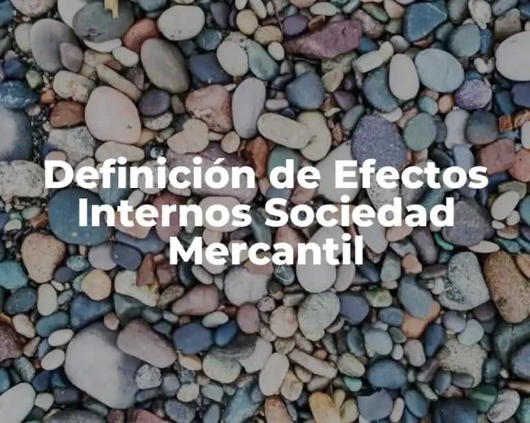 Definición de Efectos Internos Sociedad Mercantil