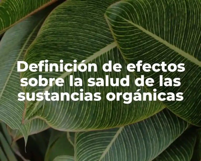 Definición de efectos sobre la salud de las sustancias orgánicas