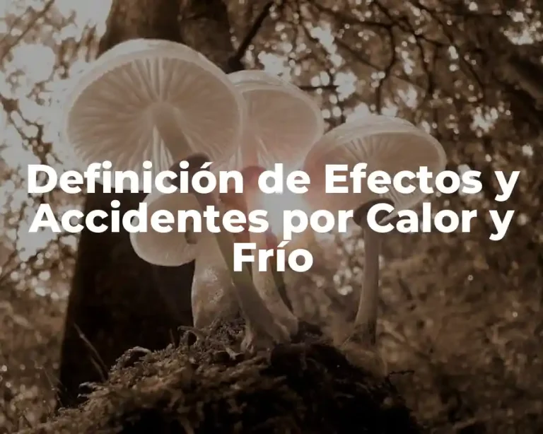 Definición de Efectos y Accidentes por Calor y Frío