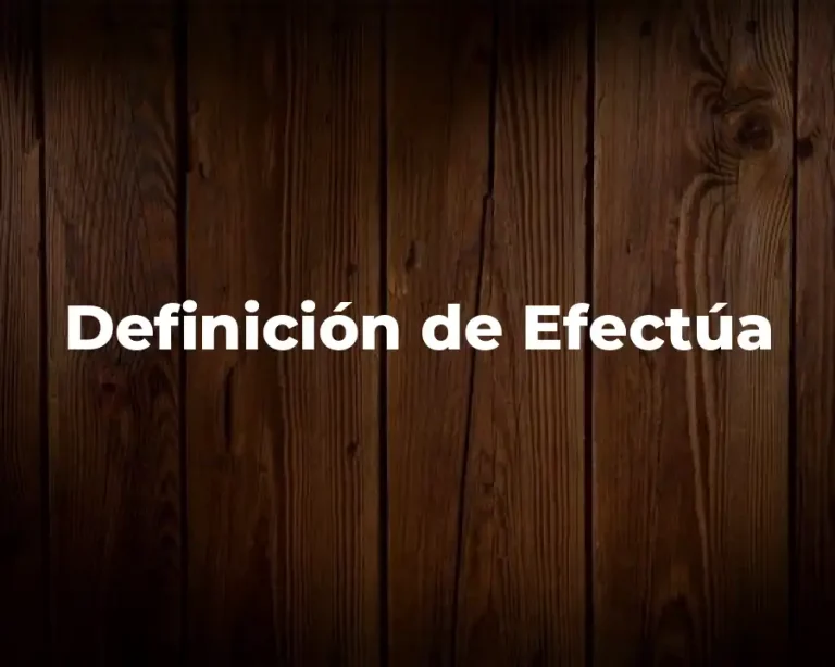 Definición de Efectúa