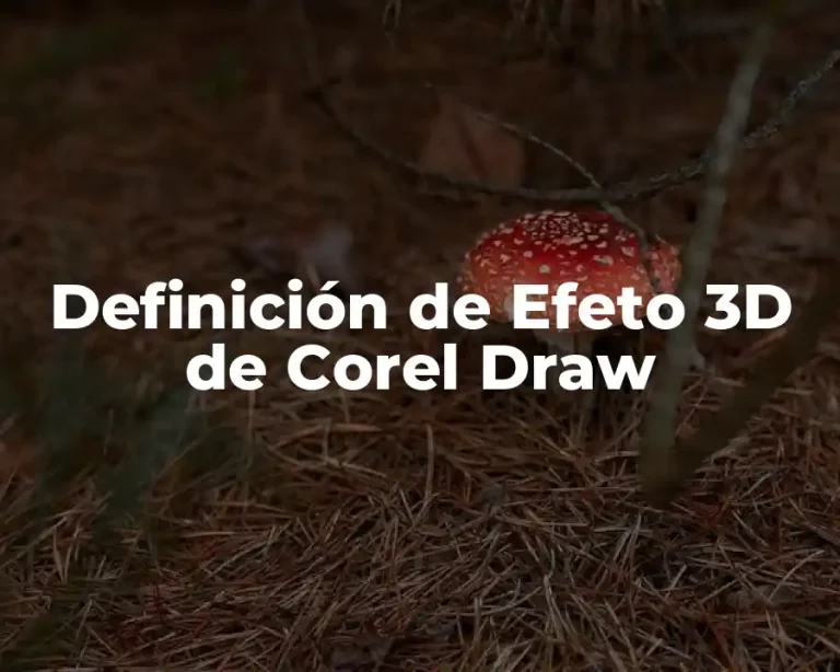 Definición de Efeto 3D de Corel Draw