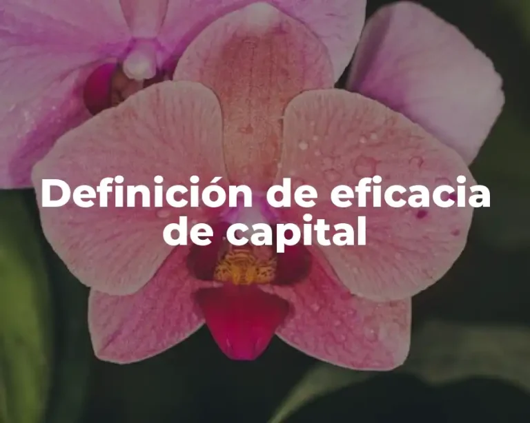 Definición de eficacia de capital