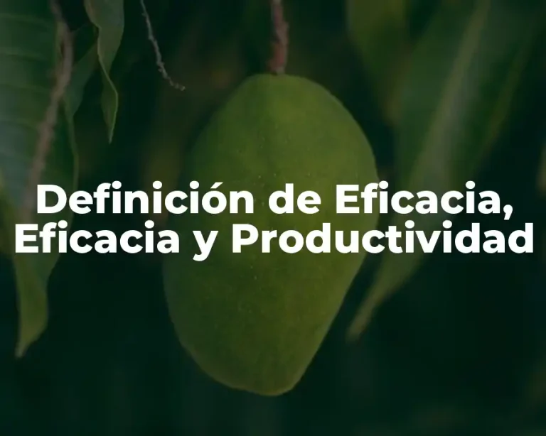 Definición de Eficacia, Eficacia y Productividad