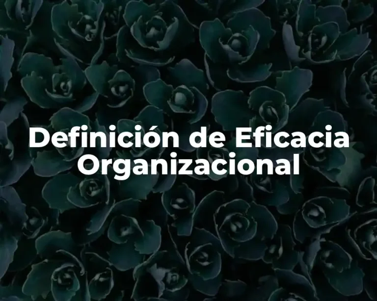 Definición de Eficacia Organizacional