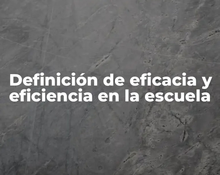 Definición de eficacia y eficiencia en la escuela