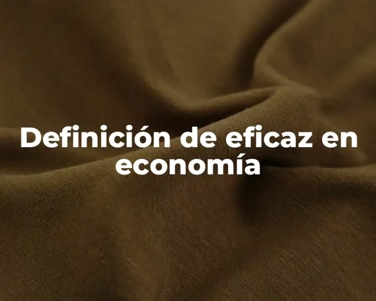 Definición de eficaz en economía
