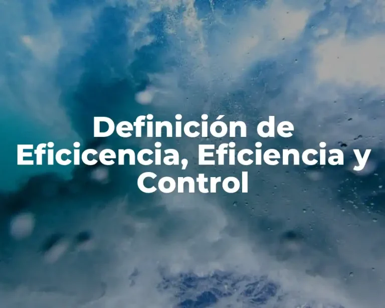 Definición de Eficicencia, Eficiencia y Control