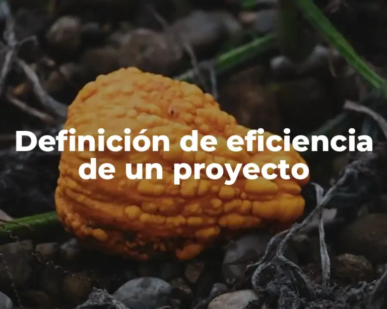 Definición de eficiencia de un proyecto