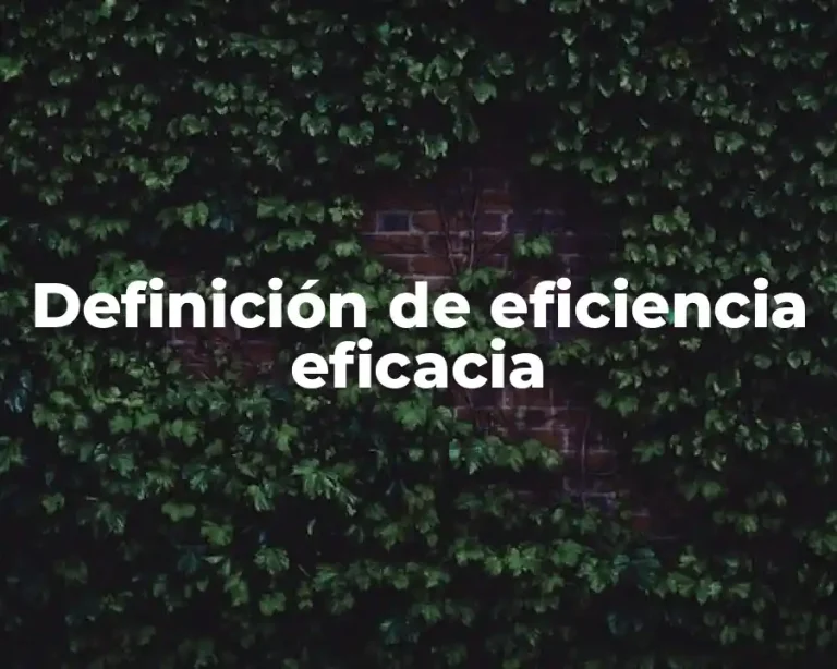 Definición de eficiencia eficacia