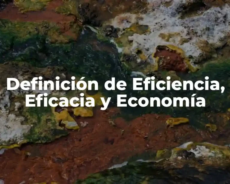 Definición de Eficiencia, Eficacia y Economía