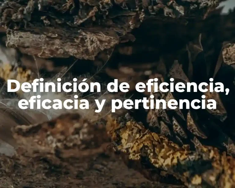 Definición de eficiencia, eficacia y pertinencia