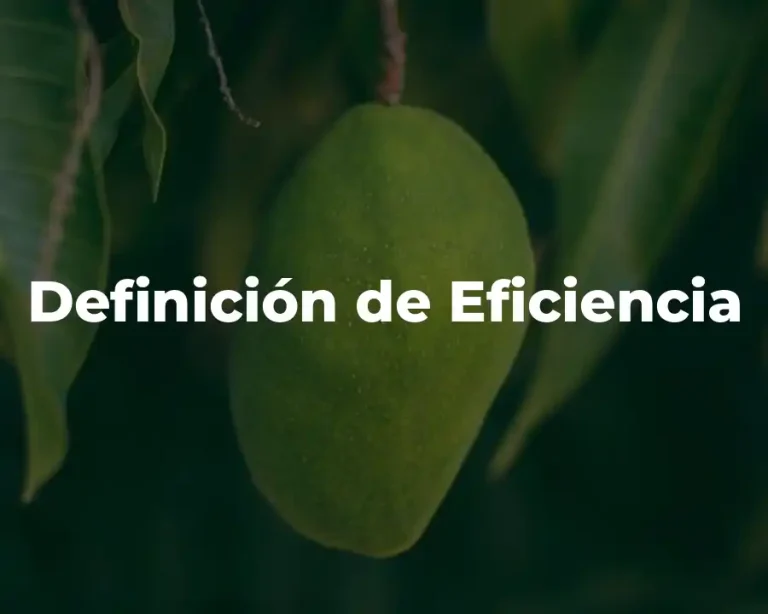 Definición de Eficiencia