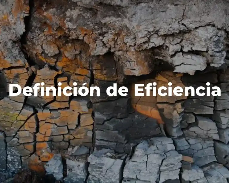 Definición de Eficiencia