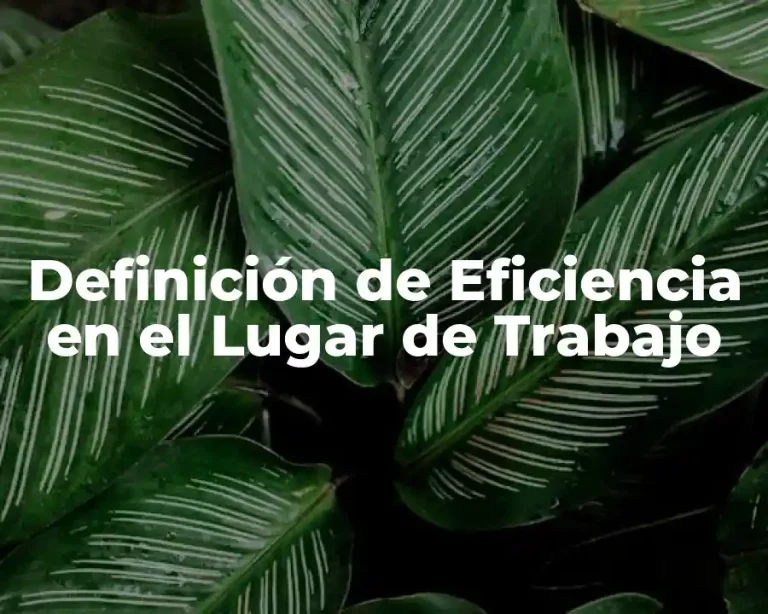 Definición de Eficiencia en el Lugar de Trabajo