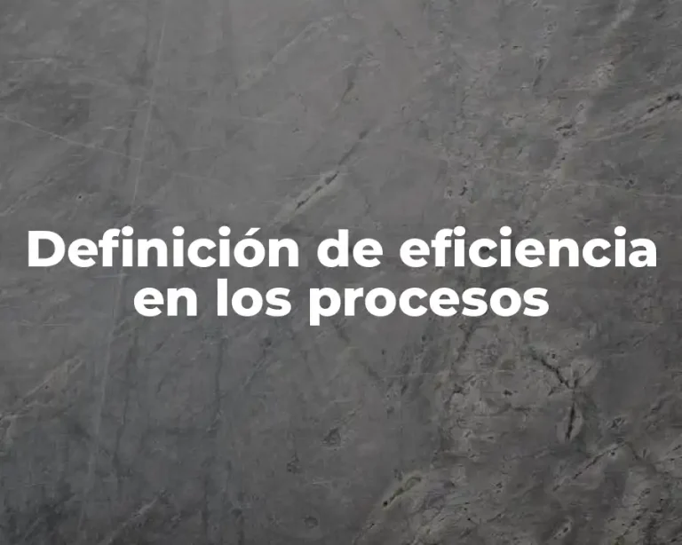 Definición de eficiencia en los procesos