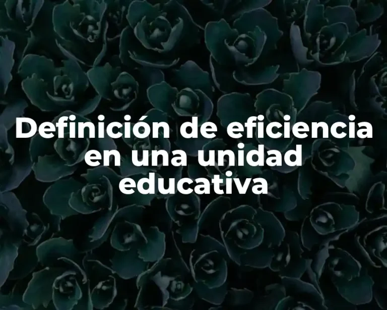 Definición de eficiencia en una unidad educativa